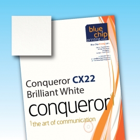 Conqueror CX22 Smooth Brilliant White WM