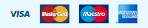 Visa Card MasterCard Maestro Amex card Logos