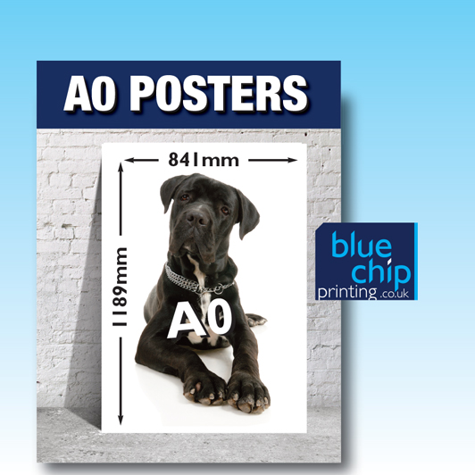 A0 Printed Posters | Size 1189mm x 841mm
